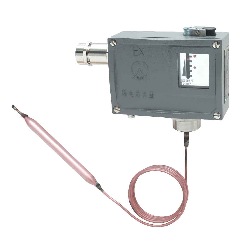 541/7T防爆溫度開(kāi)關(guān) 541/7T防爆溫度開(kāi)關(guān)